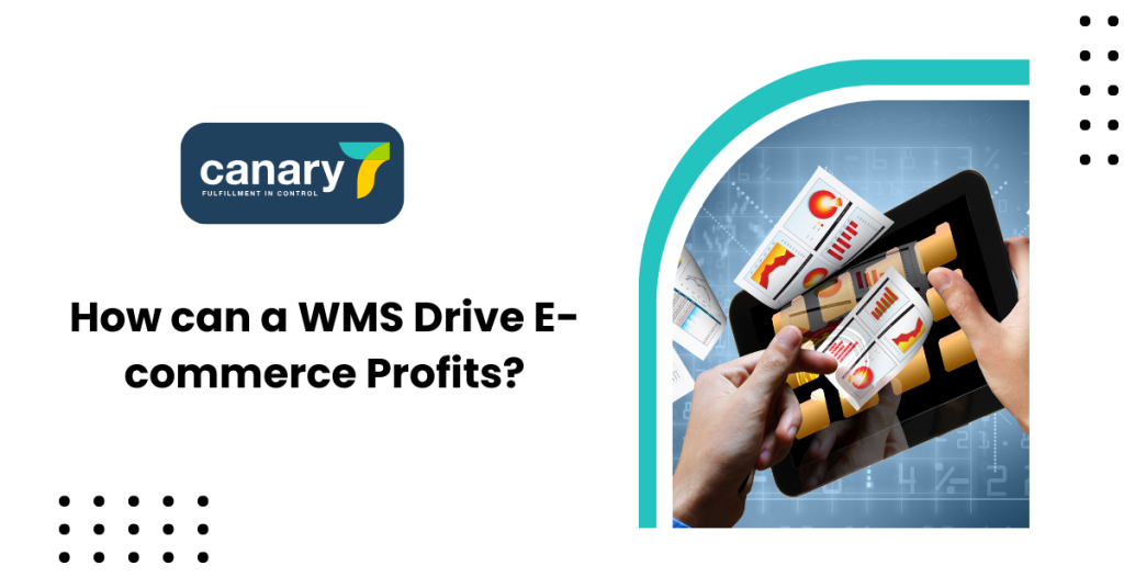 wms-drive-ecommerce-profit